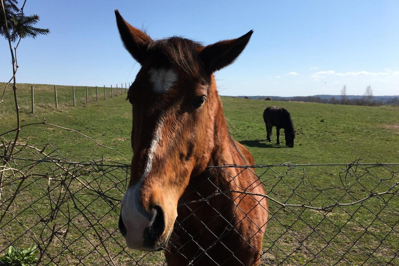Chatka W Kratke Villa Retowo  Esterno foto